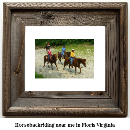 horseback riding near me in Floris, Virginia